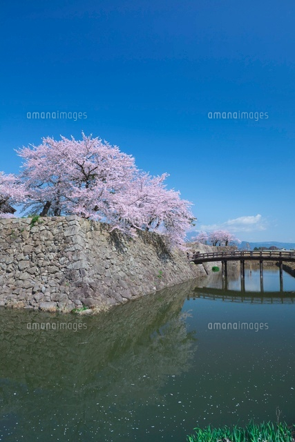 松代城跡と桜
(c)NOBUAKI SUMIDA/SEBUN PHOTO