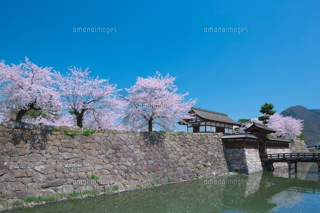 松代城跡と桜
(c)NOBUAKI SUMIDA/SEBUN PHOTO