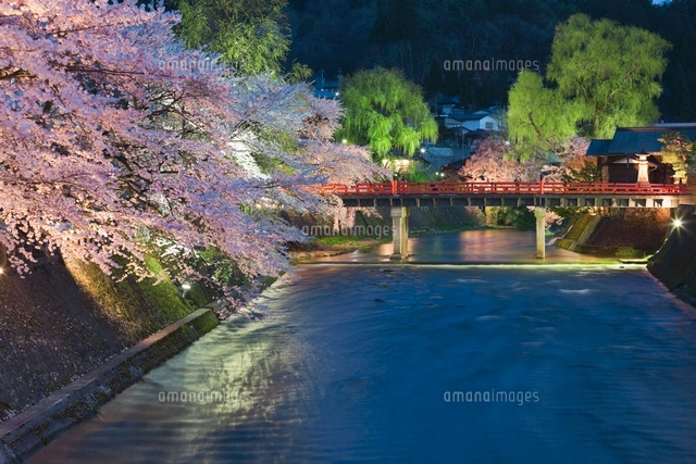 中橋と桜のライトアップ
(c)NOBUAKI SUMIDA/SEBUN PHOTO