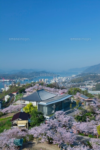 千光寺公園と尾道水道
(c)NOBUAKI SUMIDA/SEBUN PHOTO