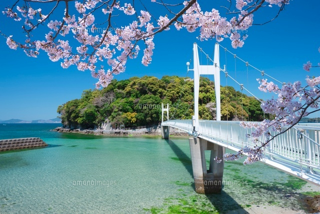 桜と湯の児島と観月橋
(c)NOBUAKI SUMIDA/SEBUN PHOTO