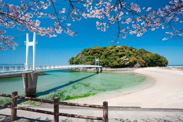 桜と湯の児島と観月橋
(c)NOBUAKI SUMIDA/SEBUN PHOTO