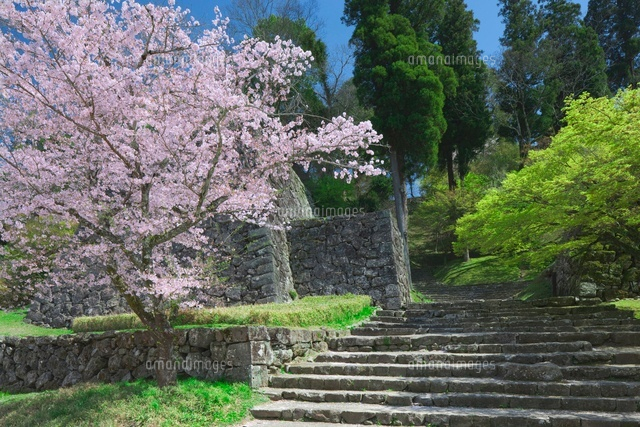 人吉城跡と桜
(c)NOBUAKI SUMIDA/SEBUN PHOTO