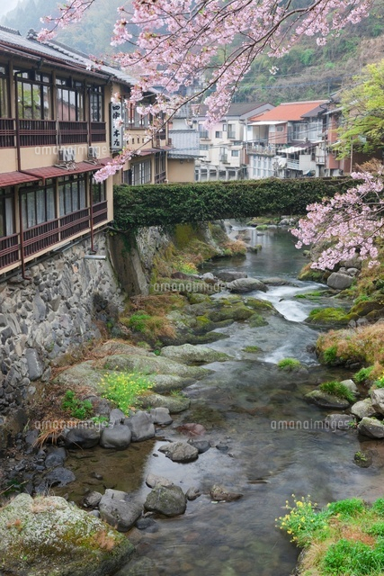 湯の鶴温泉と湯出川と桜
(c)NOBUAKI SUMIDA/SEBUN PHOTO