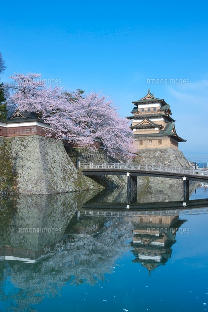 高島城と桜
(c)NOBUAKI SUMIDA/SEBUN PHOTO