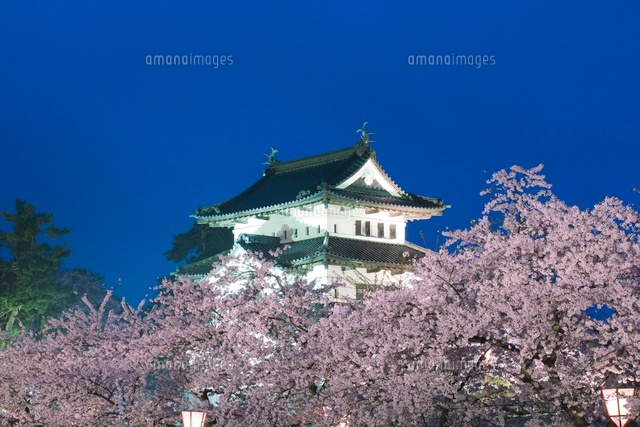 弘前城と桜とライトアップ
(c)NOBUAKI SUMIDA/SEBUN PHOTO