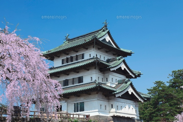 弘前城の桜
(c)NOBUAKI SUMIDA/SEBUN PHOTO
