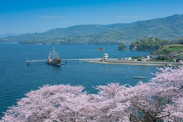 桜と湯の児温泉と湯の児島
(c)NOBUAKI SUMIDA/SEBUN PHOTO