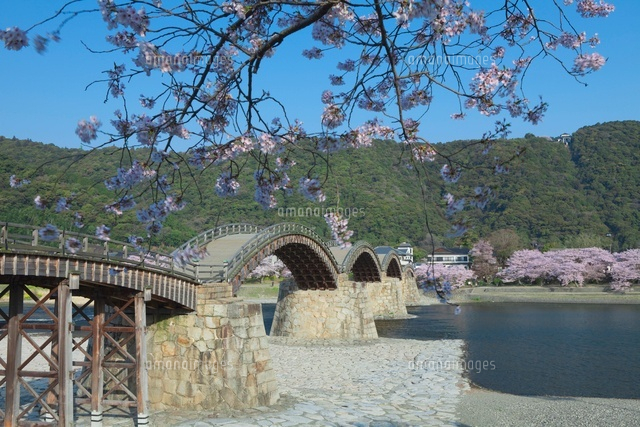 錦帯橋と桜
(c)NOBUAKI SUMIDA/SEBUN PHOTO