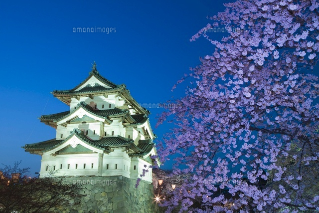 弘前城と桜とライトアップ
(c)NOBUAKI SUMIDA/SEBUN PHOTO
