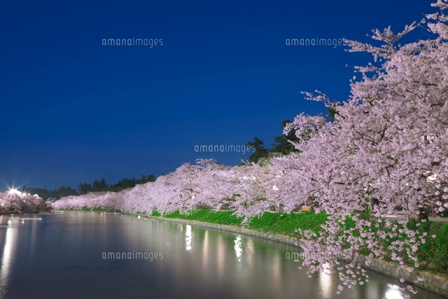 西濠と桜のライトアップ
(c)NOBUAKI SUMIDA/SEBUN PHOTO