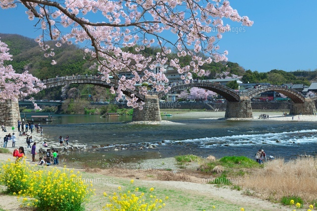 錦帯橋と桜
(c)NOBUAKI SUMIDA/SEBUN PHOTO