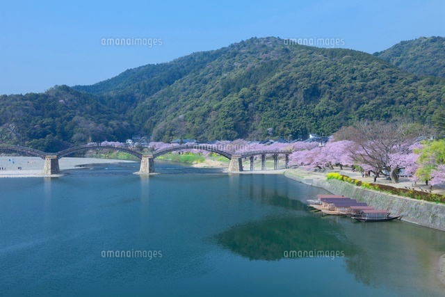 錦帯橋と桜と錦川
(c)NOBUAKI SUMIDA/SEBUN PHOTO