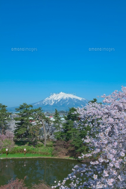 弘前城の桜と岩木山
(c)NOBUAKI SUMIDA/SEBUN PHOTO