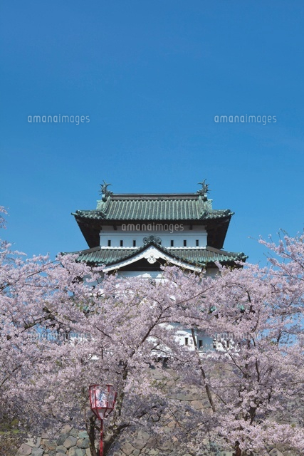 弘前城の桜
(c)NOBUAKI SUMIDA/SEBUN PHOTO