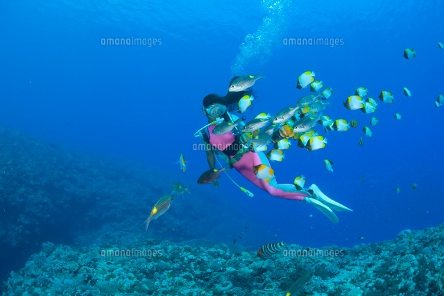 熱帯魚とダイバーとサンゴ
(c)NOBUAKI SUMIDA/SEBUN PHOTO