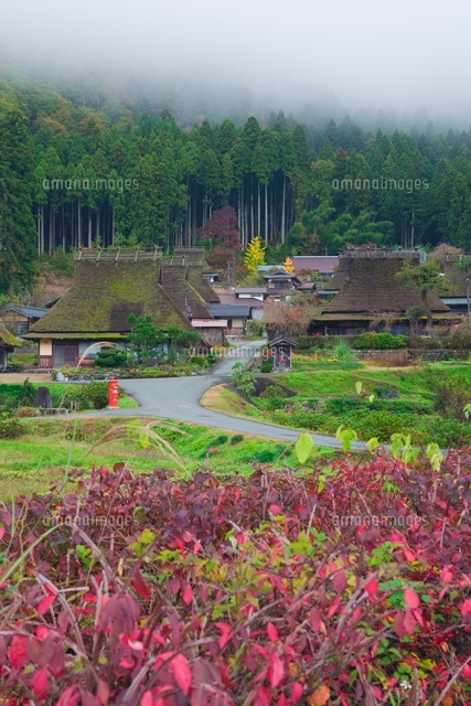 秋の美山かやぶきの里
(c)NOBUAKI SUMIDA/SEBUN PHOTO