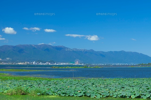琵琶湖とエリと比叡山
(c)NOBUAKI SUMIDA/SEBUN PHOTO
