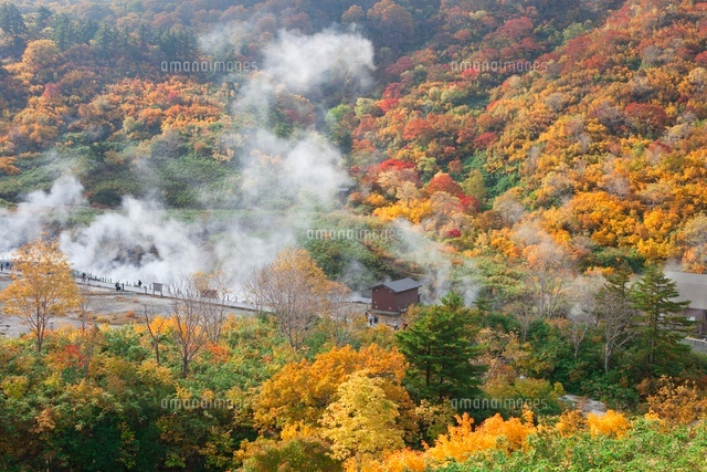 紅葉の玉川温泉
(c)NOBUAKI SUMIDA/SEBUN PHOTO