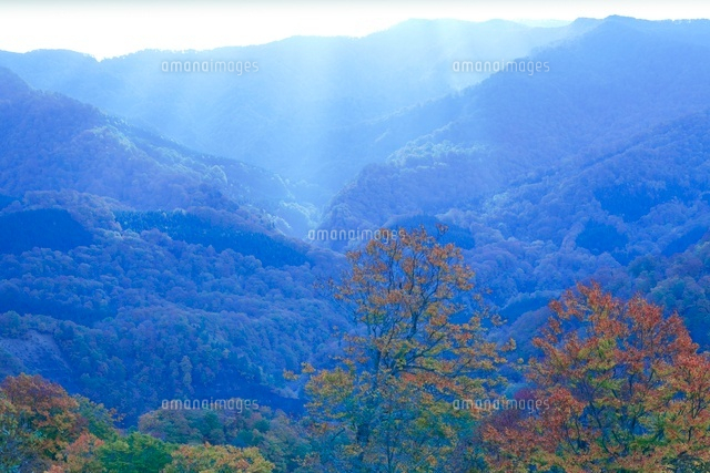 光芒の白神山地とブナ
(c)NOBUAKI SUMIDA/SEBUN PHOTO