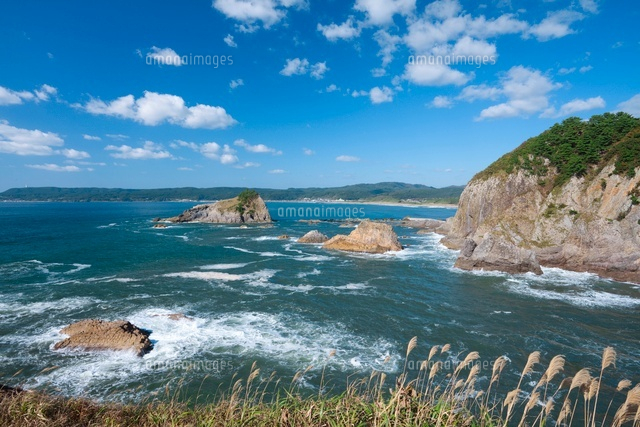 秋の森山海岸
(c)NOBUAKI SUMIDA/SEBUN PHOTO