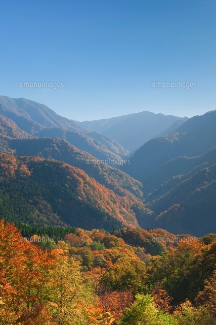 紅葉の双耳峰と白神岳
(c)NOBUAKI SUMIDA/SEBUN PHOTO
