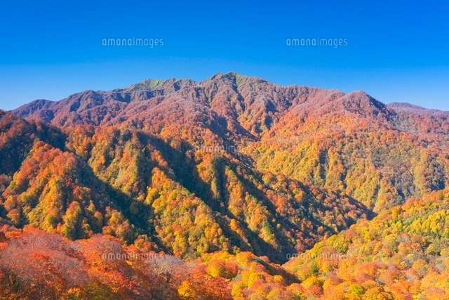 紅葉の双耳峰と向白神岳のブナ
(c)NOBUAKI SUMIDA/SEBUN PHOTO