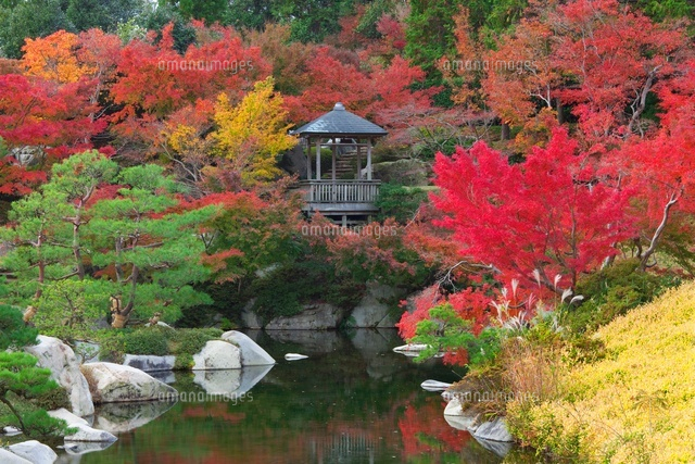 秋の三景園
(c)NOBUAKI SUMIDA/SEBUN PHOTO
