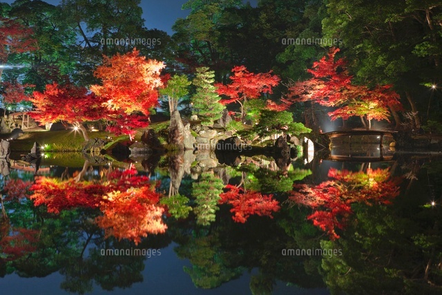 紅葉の玄宮園と彦根城のライトアップ
(c)NOBUAKI SUMIDA/SEBUN PHOTO