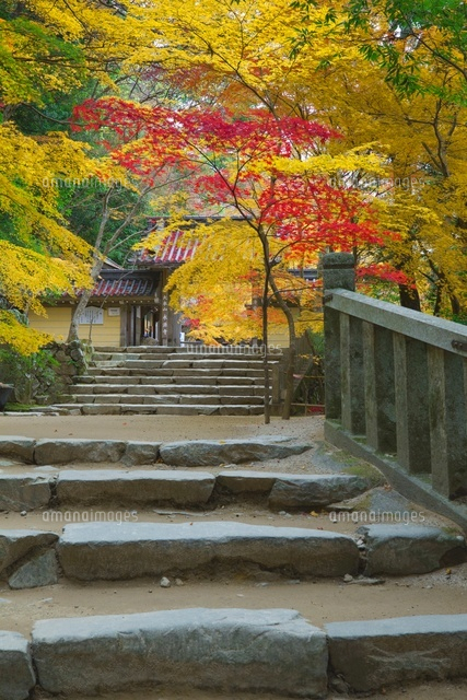 秋の永源寺
(c)NOBUAKI SUMIDA/SEBUN PHOTO