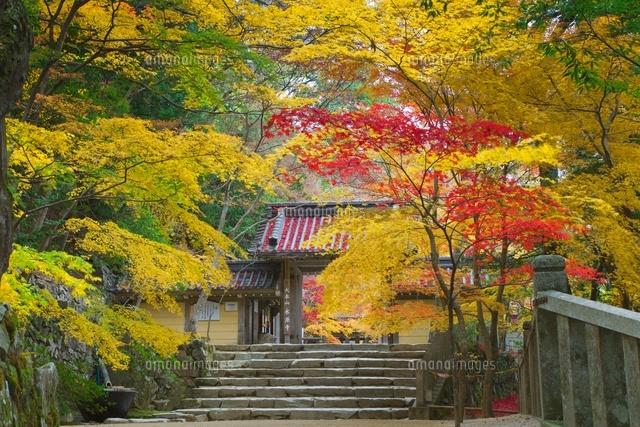 秋の永源寺
(c)NOBUAKI SUMIDA/SEBUN PHOTO