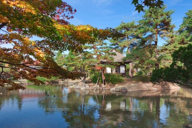 秋の御薬園
(c)NOBUAKI SUMIDA/SEBUN PHOTO