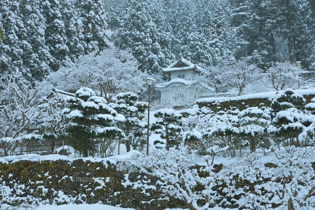 雪の出石城跡
(c)NOBUAKI SUMIDA/SEBUN PHOTO