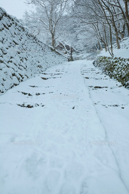 百済寺の雪の参道
(c)NOBUAKI SUMIDA/SEBUN PHOTO