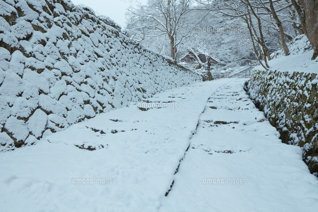 百済寺の雪の参道
(c)NOBUAKI SUMIDA/SEBUN PHOTO