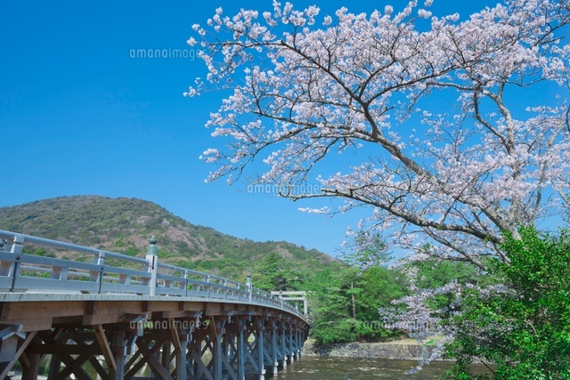 伊勢神宮宇治橋と桜
(c)NOBUAKI SUMIDA/SEBUN PHOTO