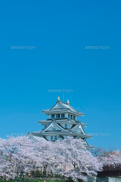 墨俣一夜城の桜
(c)NOBUAKI SUMIDA/SEBUN PHOTO