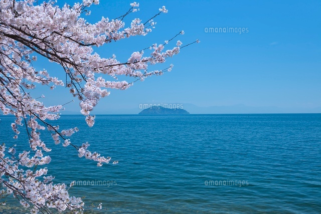 琵琶湖と竹生島と桜
(c)NOBUAKI SUMIDA/SEBUN PHOTO