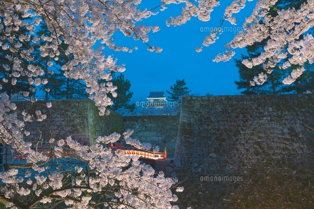 鶴ヶ城の桜とライトアップ
(c)NOBUAKI SUMIDA/SEBUN PHOTO