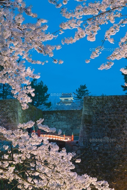 鶴ヶ城の桜とライトアップ
(c)NOBUAKI SUMIDA/SEBUN PHOTO
