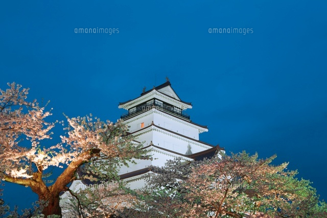 鶴ヶ城の桜とライトアップ
(c)NOBUAKI SUMIDA/SEBUN PHOTO