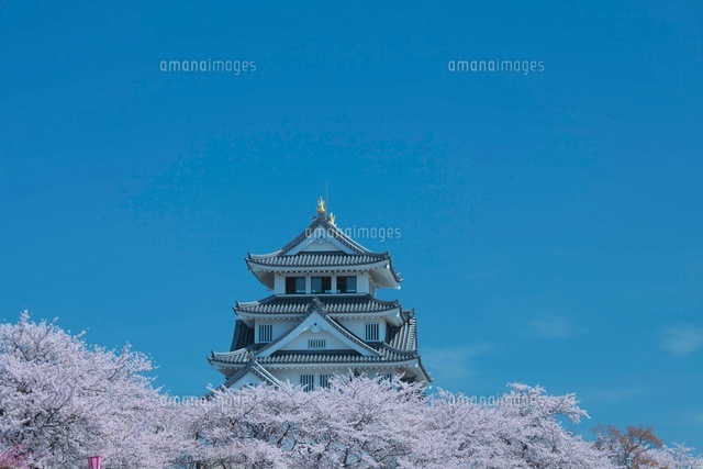 墨俣一夜城の桜
(c)NOBUAKI SUMIDA/SEBUN PHOTO