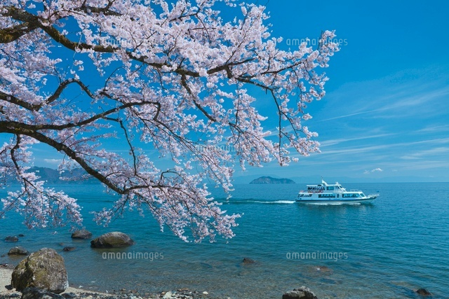 琵琶湖と竹生島と桜
(c)NOBUAKI SUMIDA/SEBUN PHOTO