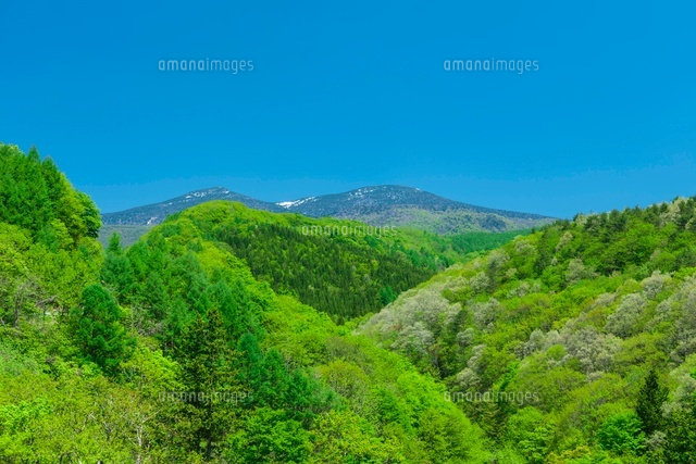 新緑の西大巓と西吾妻山
(c)NOBUAKI SUMIDA/SEBUN PHOTO