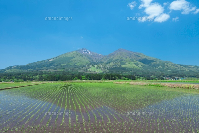 磐梯山と水田
(c)NOBUAKI SUMIDA/SEBUN PHOTO