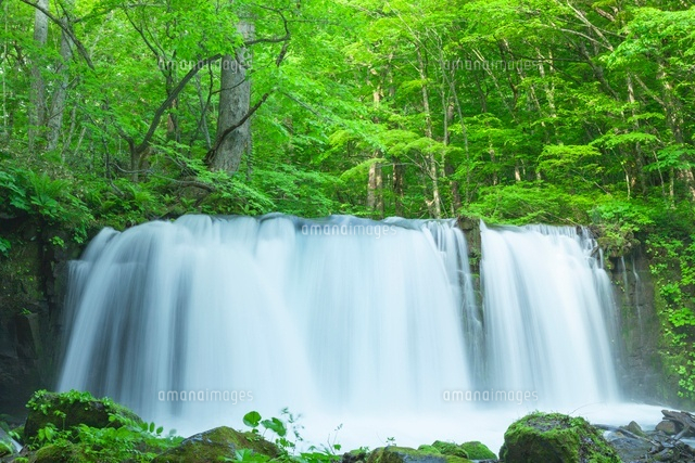 新緑の奥入瀬渓流の銚子大滝
(c)NOBUAKI SUMIDA/SEBUN PHOTO