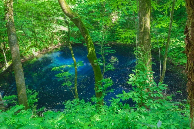 新緑の青池
(c)NOBUAKI SUMIDA/SEBUN PHOTO