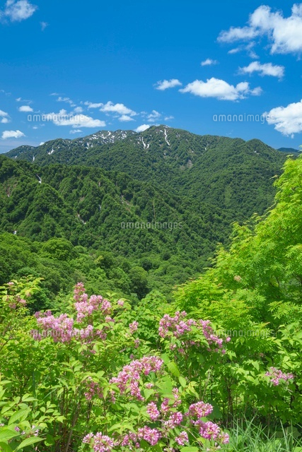 向白神岳と双耳峰
(c)NOBUAKI SUMIDA/SEBUN PHOTO