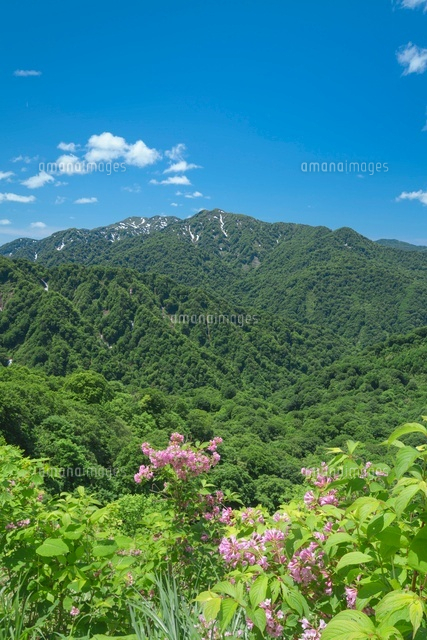 向白神岳と双耳峰
(c)NOBUAKI SUMIDA/SEBUN PHOTO