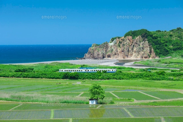 水田とJR五能線の普通列車
(c)NOBUAKI SUMIDA/SEBUN PHOTO